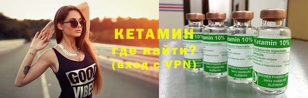 крисы Алексин