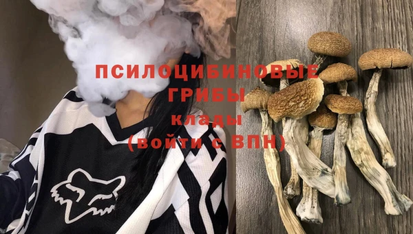крисы Алексин