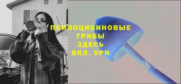 крисы Алексин