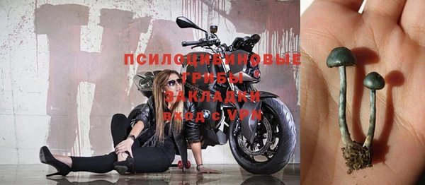 крисы Алексин