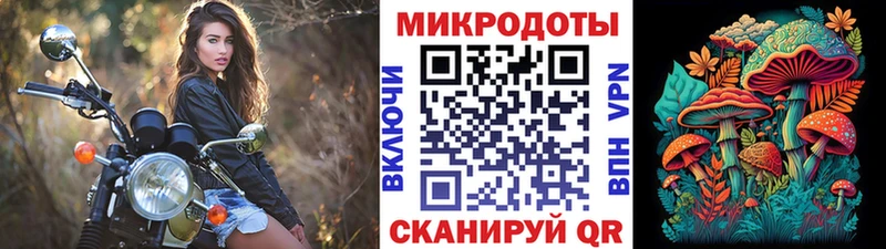 KRAKEN зеркало  закладка  Ардон  Псилоцибиновые грибы мицелий 