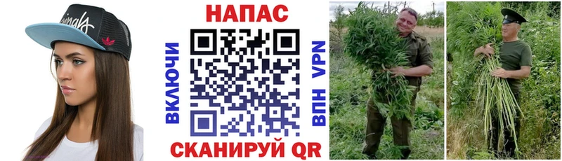 Каннабис планчик площадка какой сайт Ардон что такое наркотик